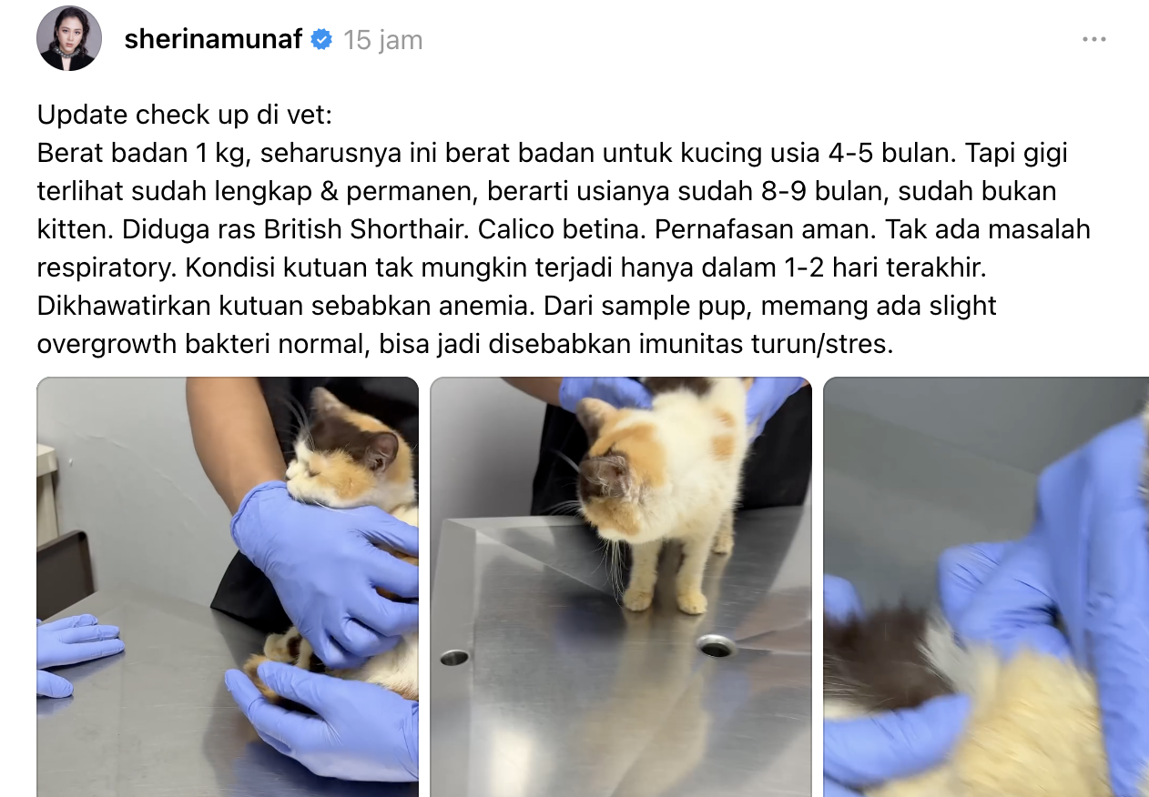 Tangkapan Layar 2025-09-01 pukul 06.57.25